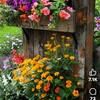 robindailey730